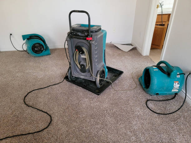 Best Water damage restoration specialists  in Pine Ridge, FL