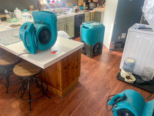 Best Water damage cleanup near me  in Pine Ridge, FL