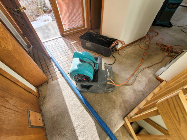 Best Sewage cleanup and water damage restoration  in Pine Ridge, FL