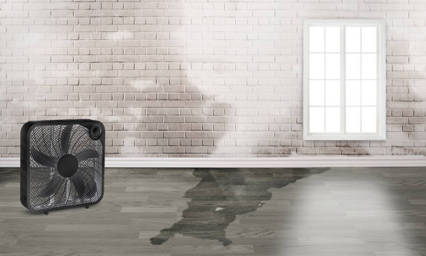 24/7 water damage repair in Pine Ridge, FL