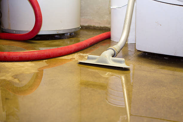 Best Water damage restoration near me  in Pine Ridge, FL