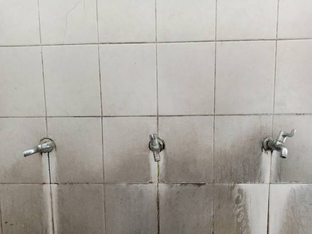 Water damage restoration insurance claims in Pine Ridge, FL