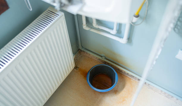 Best Flood damage cleanup  in Pine Ridge, FL