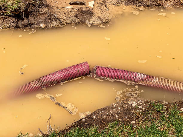 Best Water damage restoration near me  in Pine Ridge, FL