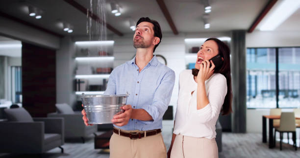 Best 24/7 water damage repair  in Pine Ridge, FL